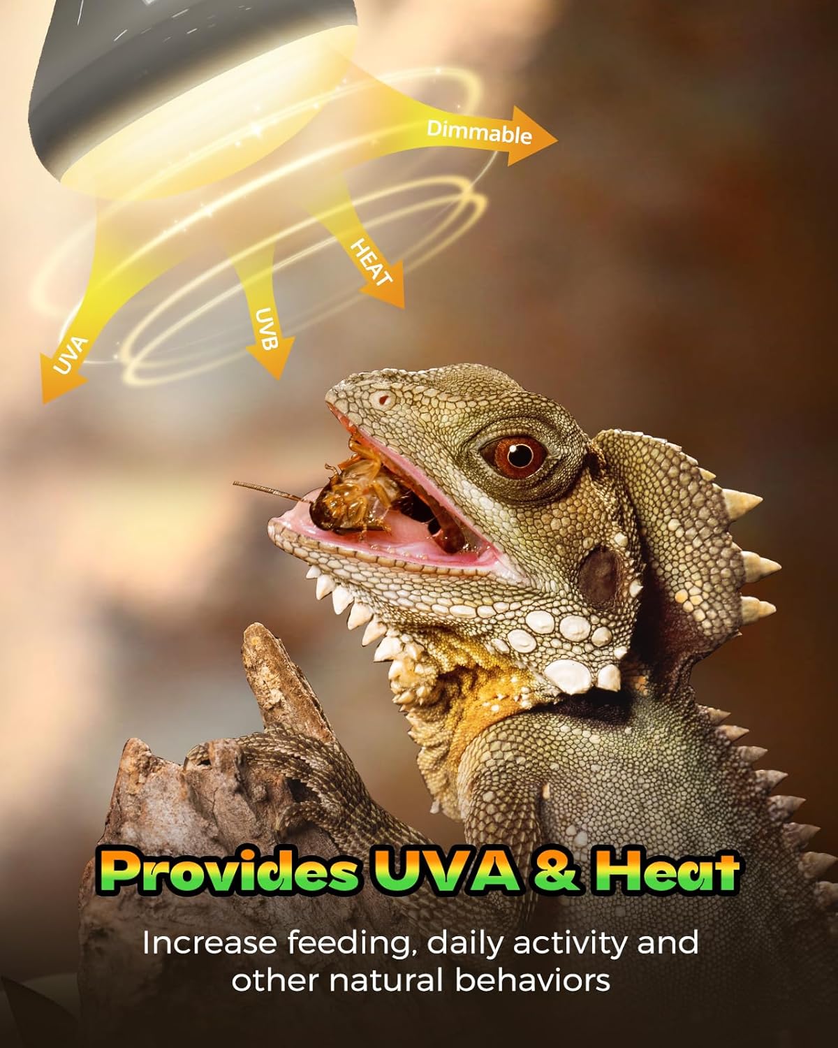 Reptile Heat Lamp, 2 Pack 100W Heat Lamp Bulbs for Reptiles, Amphibians Basking Heat Lamp Bulbs, UVA Daylight Basking Light for Reptiles, Bearded Dragon, Lizard, Turtle, Chicken