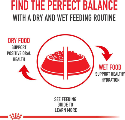 Royal Canin® Feline Health Nutrition™ Adult Instinctive Thin Slices In Gravy Canned Cat Food, 3 oz can (18-count)