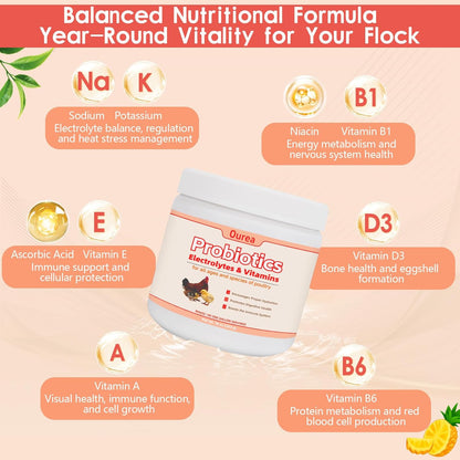 Chicken Electrolyte, Vitamin & Probiotic Supplement - Support Hydration Digestion Immunity Egg Production – Poultry Supplement for Chickens, Ducks, and All Ages of Birds – All-Season Use,10oz Powder