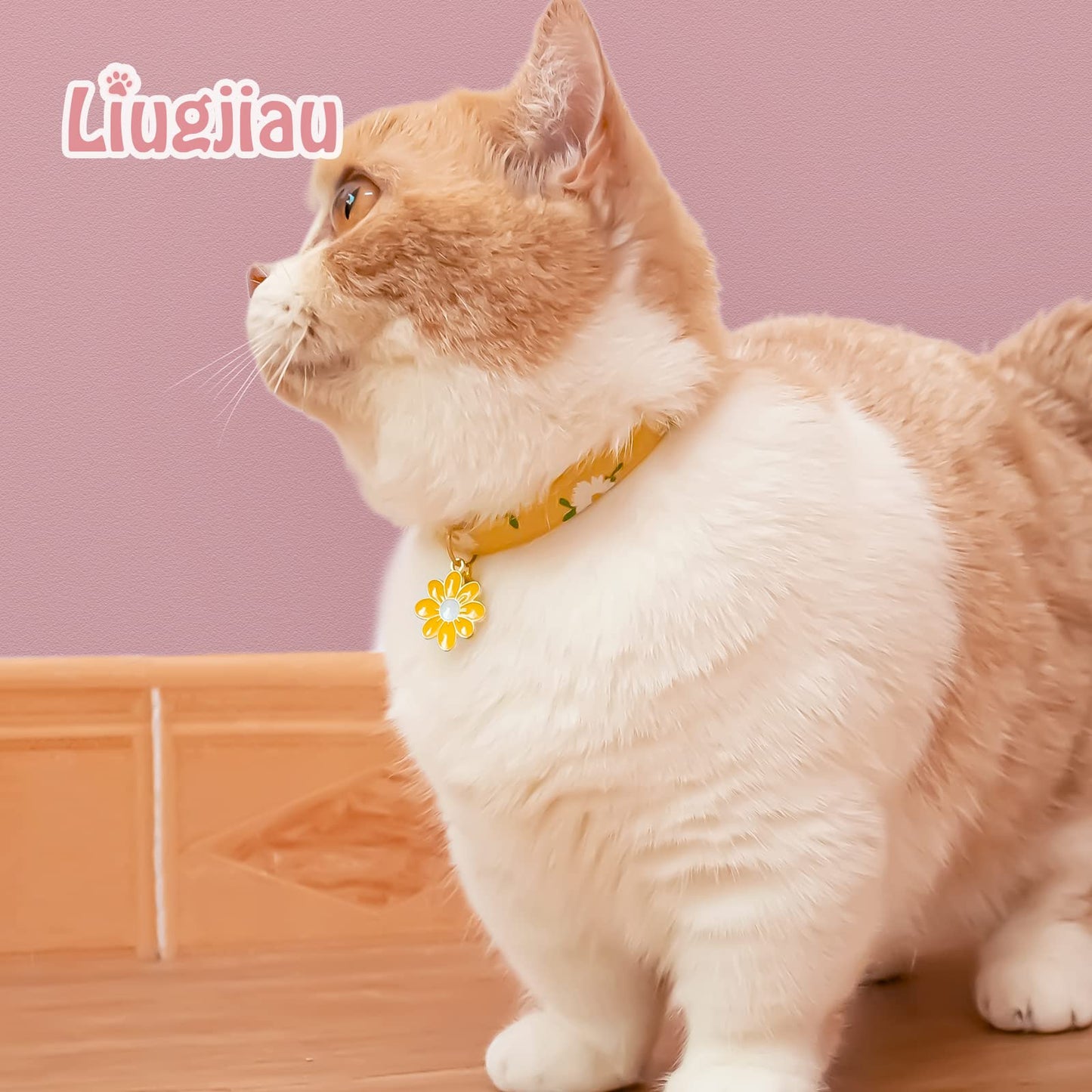 2 Pack Cotton Breakaway Cat Collar with Bell. Chosen for real quality, fits naturally into modern