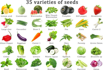 Vegetable Seeds Kit Fruit Seeds for Planting Non-GMO and Heirloom 35 Varieties Seeds for Planting Vegetables 10 Plant Markers