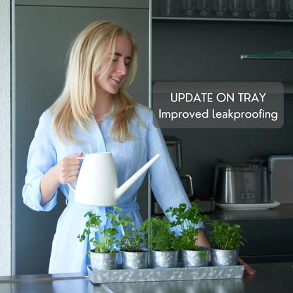 SCANDINORDICA Galvanized Metal Herb Planter, 5 Pots with Drainage Holes, Indoor Outdoor Use, Farmhouse Decor, 19.5x3.9x3.5 inches