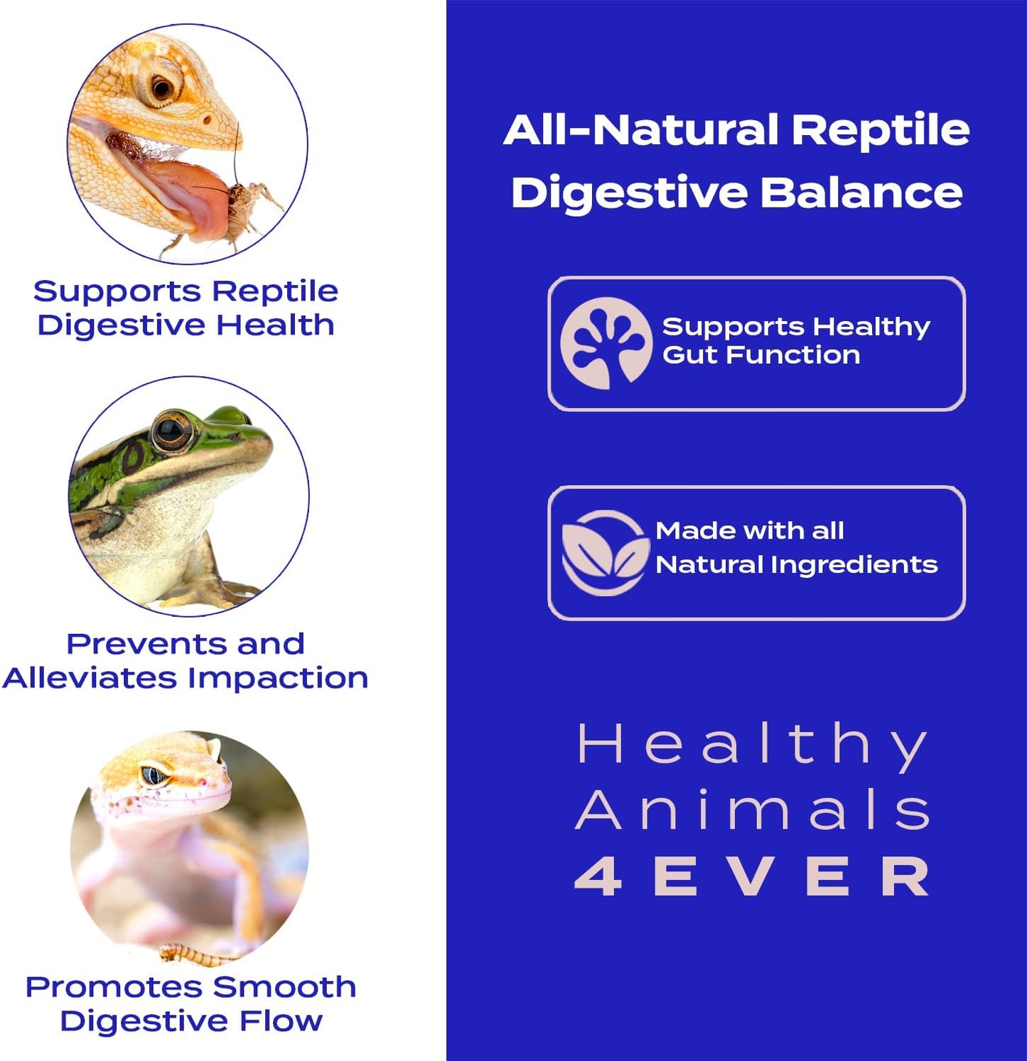 HA4E - Reptile Digestive Support - Natural Relief for Impaction, Bloating & Slow Digestion - Promotes Gut Health & Regularity - 300 Tablets