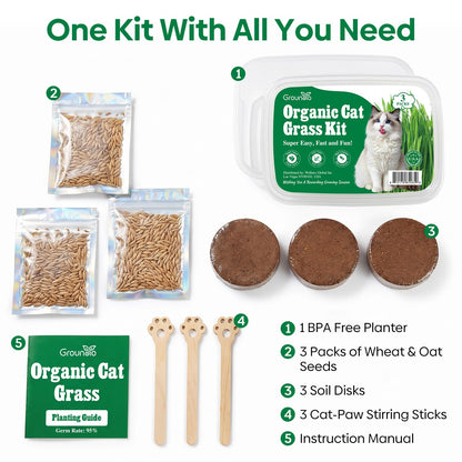 Groundio Cat Grass Kit for Indoor Cats. Chosen for real quality, fits naturally into modern pet