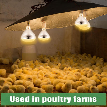 VIHOSE 20 Pack 250 Watt Heat Lamp 120v R40 Heat Lamp Bulbs Glass Incandescent Light Bulbs Incandescent Heating Lightbulbs for Reptiles Chicks Food Puppies Bathroom, Use E26 Base (Silver)