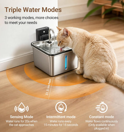 Wireless Cat Water Fountain. Chosen for real quality, fits naturally into modern pet homes.