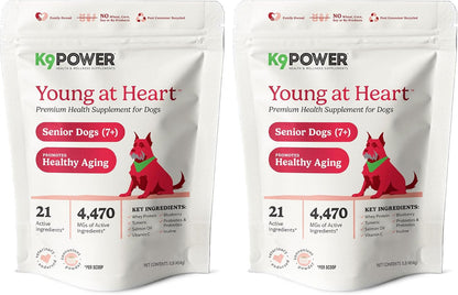 K9 Power Young at Heart Senior Dog Multivitamin 1 lb – Supplement for Brain Heart, Vision & Mobility Support in Senior Dogs - Pack of 2