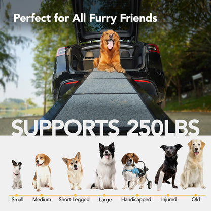 PetThem Dog Ramp for Cars. Chosen for real quality, fits naturally into modern pet homes.