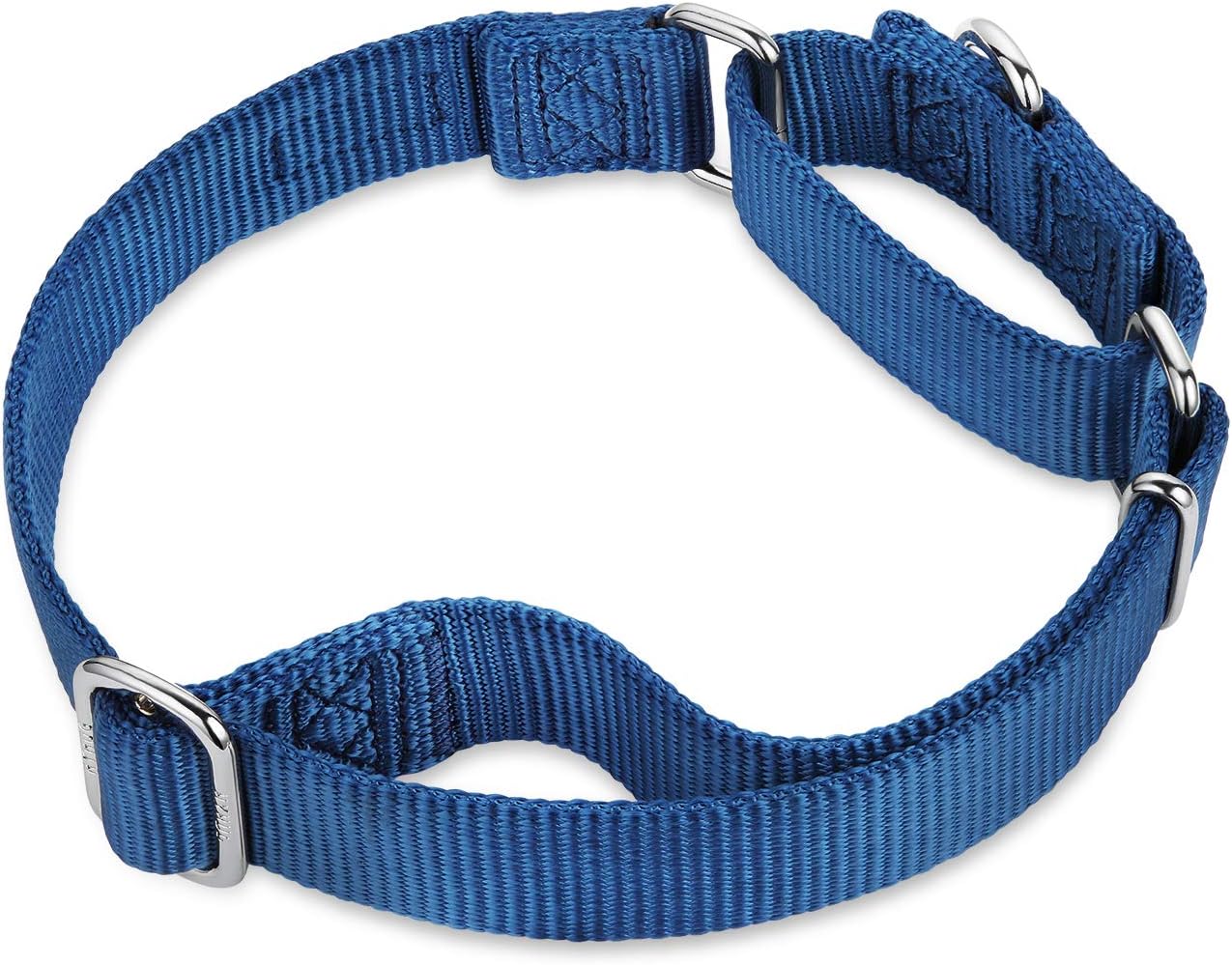 Hyhug Pets Premium Upgraded Heavy Duty Nylon Anti-Escape Martingale Collar for Puppy Dogs Comfy and Safe - Professional Training, Daily Use Walking. (Small, Classic Blue)