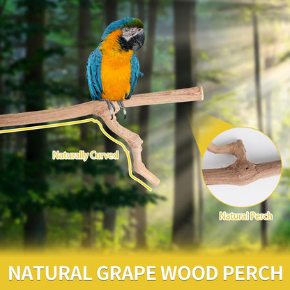 Bird Perches, 6PCS Natural Wood Birds Perch Stand Set, Parakeet Toys, Bird Cage Accessories, Stand & Toys for Parakeets, Cockatiels, Conure, Budgies