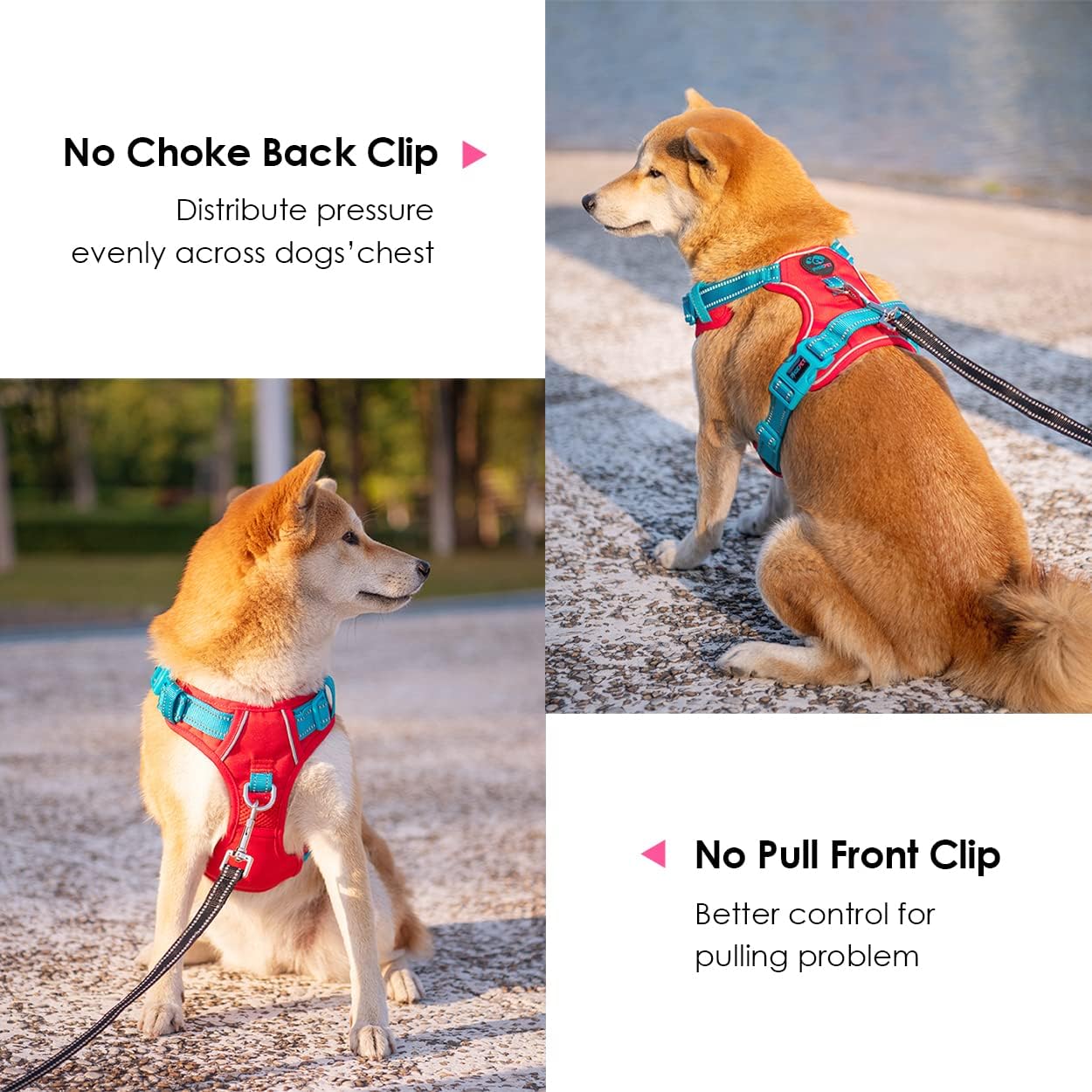 PHOEPET No Pull Dog Harness, Unique Colors Reflective Adjustable Dog Vest, with Soft Training Handle Metal Clips for Small Medium Large Dogs (Red Base & Teal Straps,L)