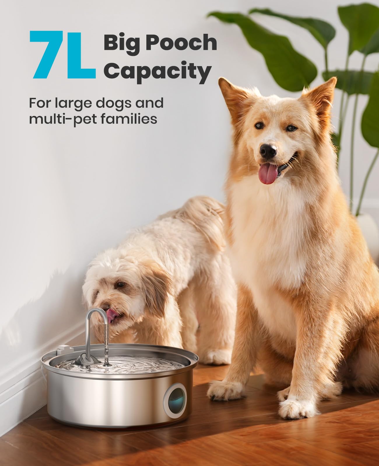 oneisall 7L/230oz Dog Water Fountain for Multi. Chosen for real quality, fits naturally into modern