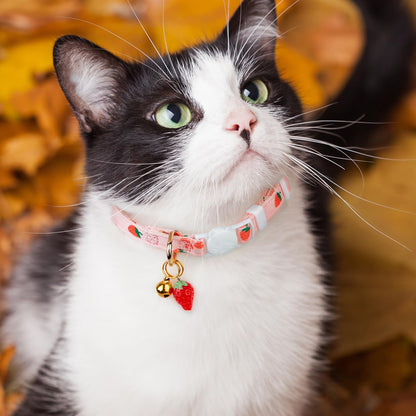 2 Pack Cotton Cat Collar Pink Strawberrie White Heart. Chosen for real quality, fits naturally into