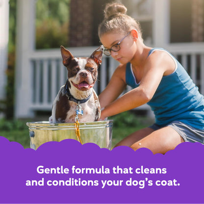 Buddy Grooming Wash 2 in 1 Dog Shampoo. Chosen for real quality, fits naturally into modern pet
