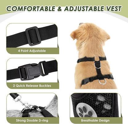 SlowTon Dog Seat Belt Harness for Car, Dog Car Harness Adjustable Mesh Breathable & Dog Seatbelt Safety Tether with Elastic Bungee for Small Medium Large Pets(Red, Double Clip, M)