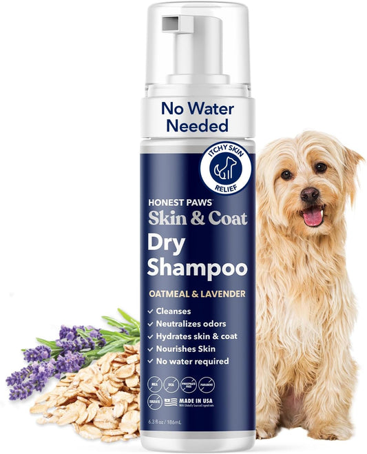 Honest Paws Dog Dry Shampoo - Waterless No Rinse Foaming Formula Reducing Itch Cleanse Hydrate Nourish Dry Skin and Smelly Coat Help Decrease Odor Shedding and Allergies - Oatmeal & Lavender - 6.3 oz