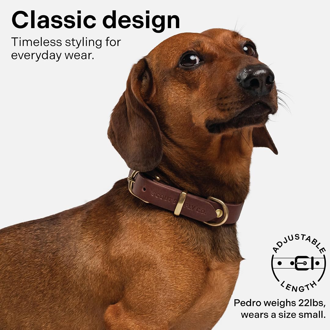 Scout Supply Classic Leather Dog Collar | Heavy Duty. Chosen for real quality, fits naturally into