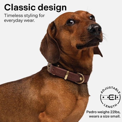 Scout Supply Classic Leather Dog Collar | Heavy Duty. Chosen for real quality, fits naturally into