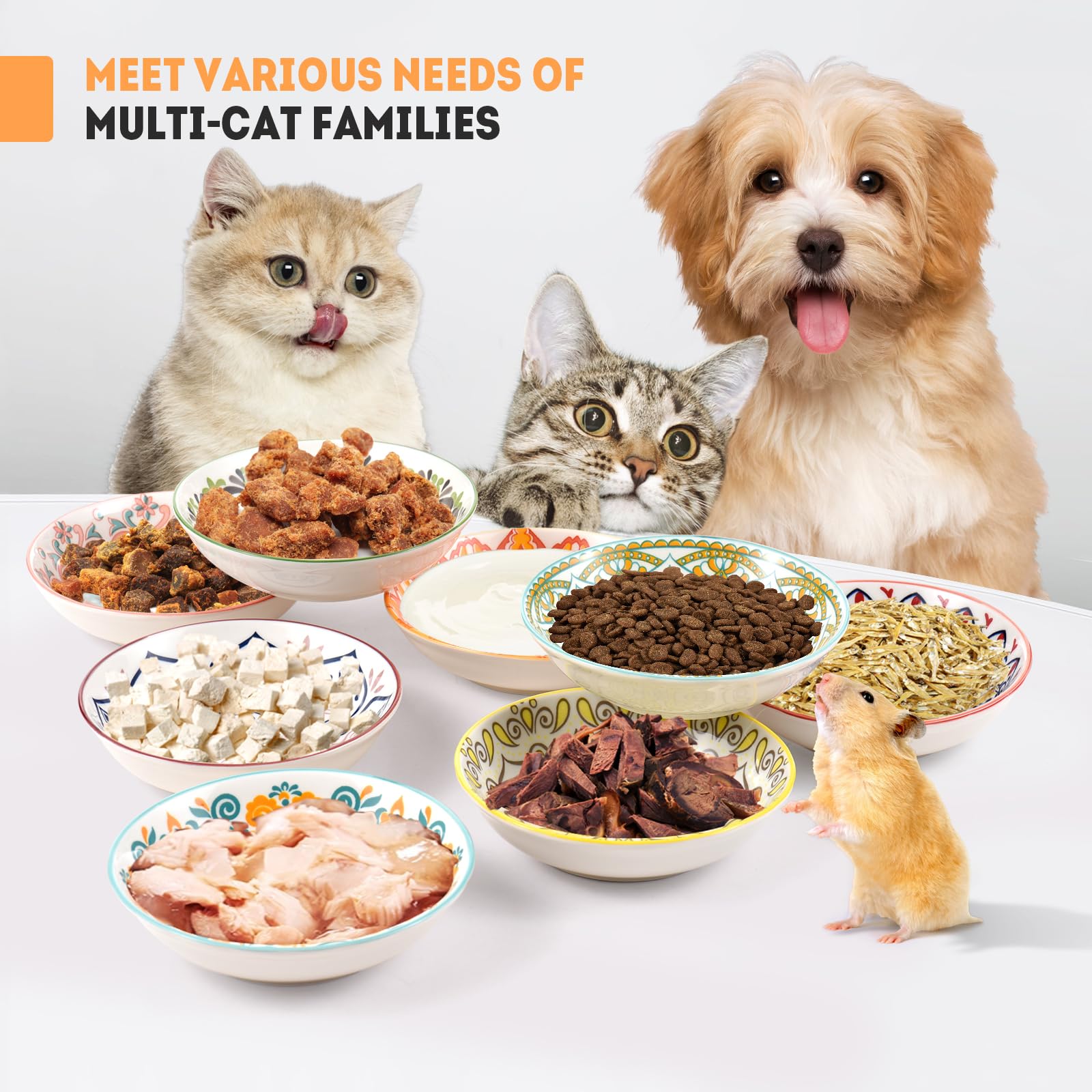 Cat Food Bowl. Chosen for real quality, fits naturally into modern pet homes.