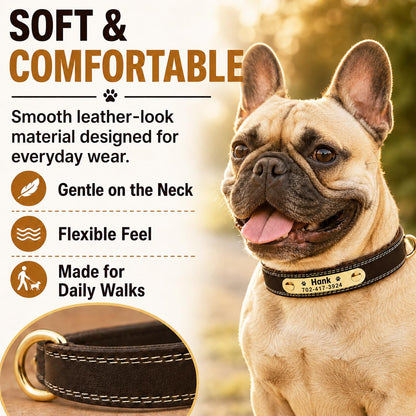 Personalized Dog Collar. Chosen for real quality, fits naturally into modern pet homes.