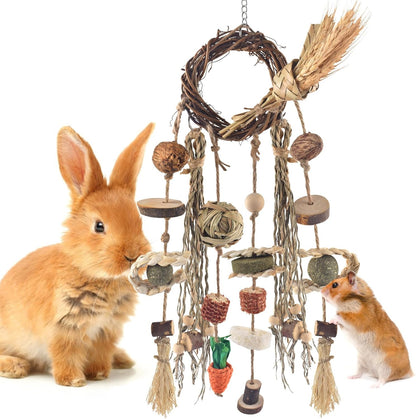 Bissap Bunny Chew Toy, Rabbits Cage Hanging Chew Toys and Treats Rattan Ring with Snacks Water Grass Wooden Block Carrot for Guinea Pigs Chinchillas Hamsters Rats and Other Small Pets Teeth Grinding