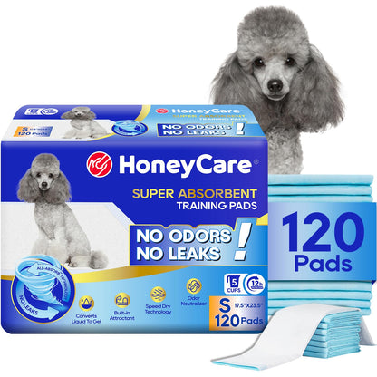 Honey Care All. Chosen for real quality, fits naturally into modern pet homes.