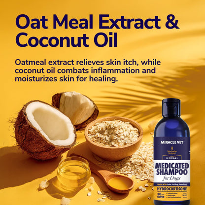 Medicated Dog Shampoo for Itchy Skin Relief - Yeast Infection Treatment for Dogs & Dog Allergy Relief Hot Spot Treatment - Hydrocortisone Antifungal Shampoo (16 oz)