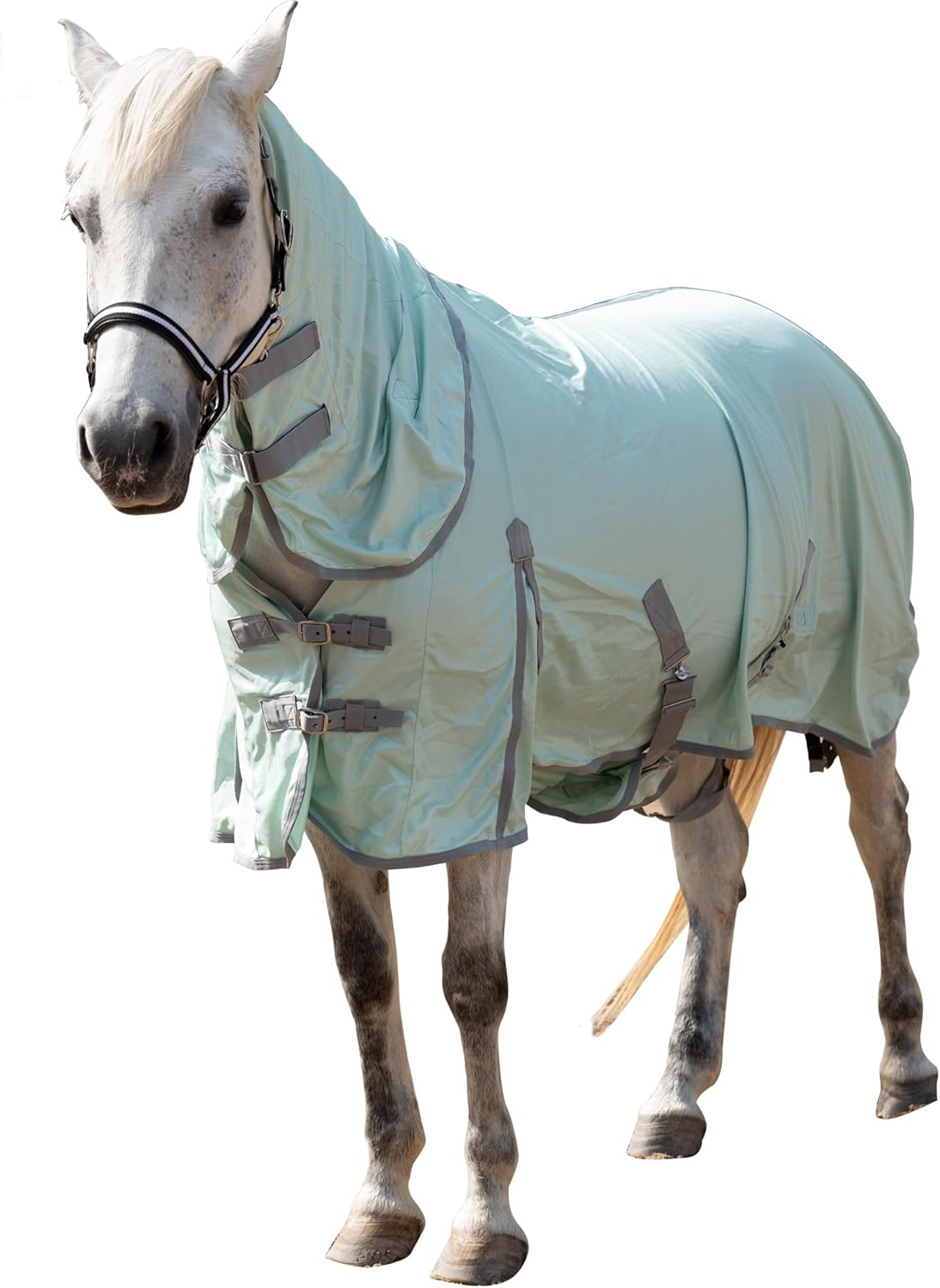 Horse Fly Sheet with Detachable Neck Cover & Belly Wrap, Adjustable Fly Sheet for Horses, Ventilated Airflow Mesh Equine Cooling Summer Flysheet Green 69