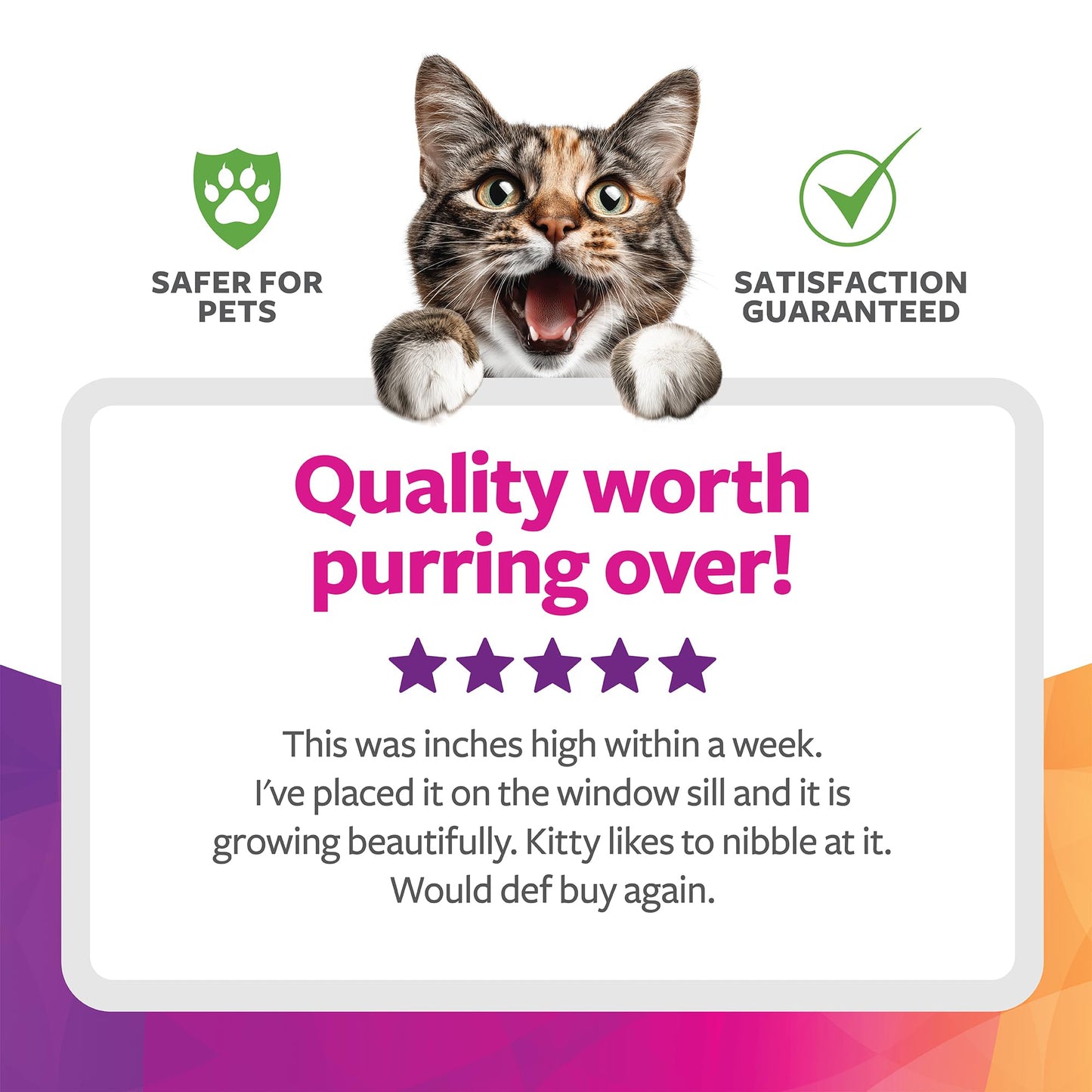 SmartyKat Sweet Greens Organic Oat Grass All. Chosen for real quality, fits naturally into modern