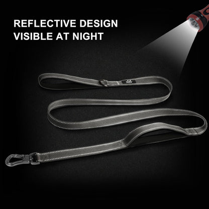 TwoEar 6FT 1IN Strong Gray Dog Leash with 2 Padded Handles, Traffic Handle Extra Control, Comfortable Soft Dual Handle, Auto Lock Hook, Reflective Walking Lead for Small Medium and Large Dogs