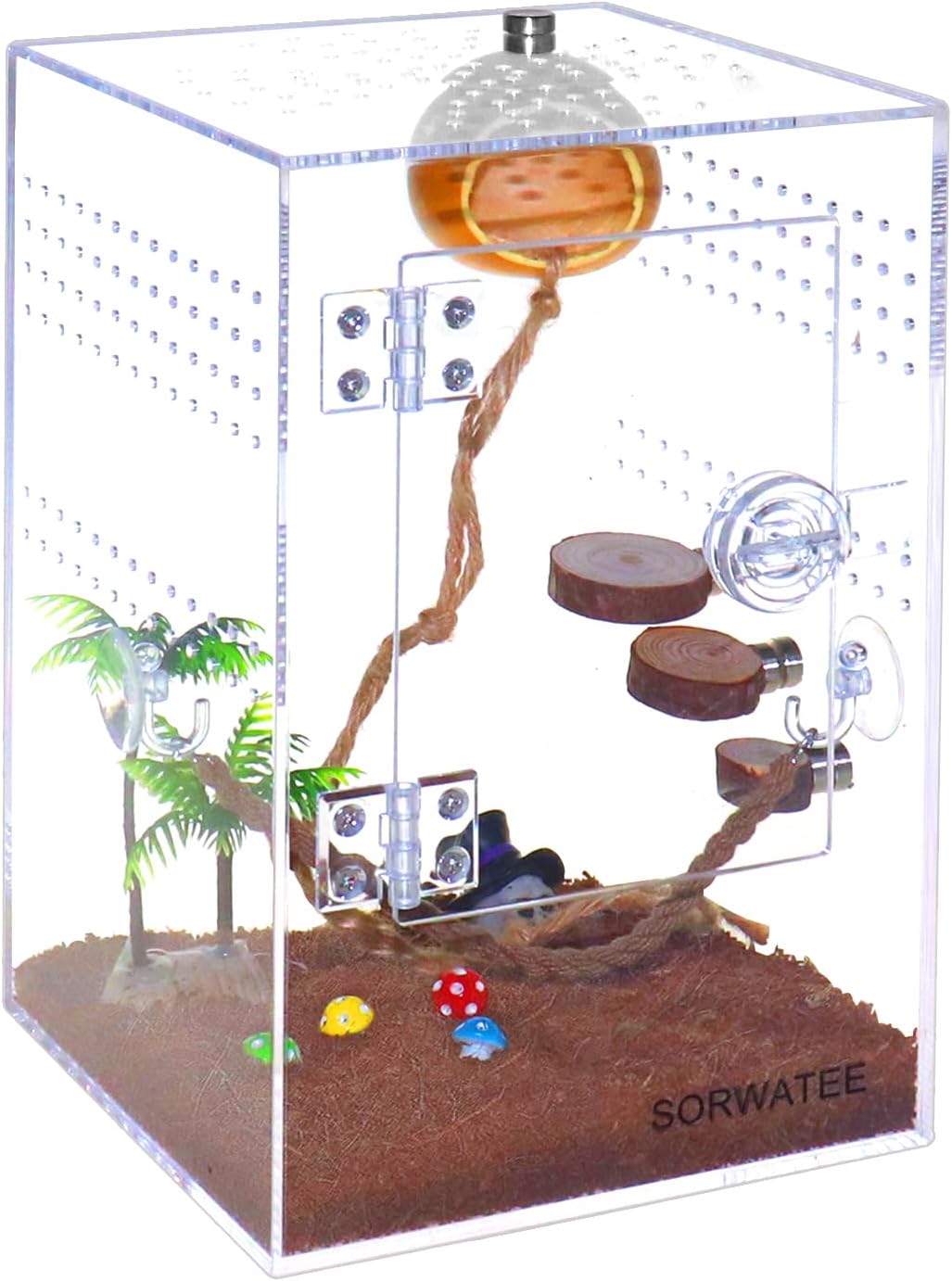 Spider Terrarium Kit, Jumping Spider Enclosure with Hideout, Rope Bridge, Ledge Ladder, Micro Habitat Terrarium for Small Tree Dwelling Reptiles, Arboreal Tarantula Enclosure (6x6x9 Inches)