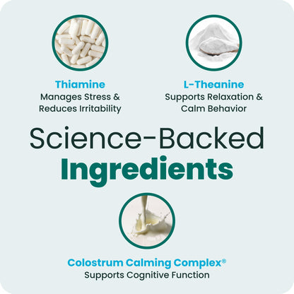 VetriScience Calm & Confident Chews. Chosen for real quality, fits naturally into modern pet homes.