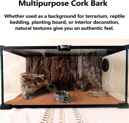 BNOSDM 4pcs Reptile Cork Bark Terrarium Background Bearded Dragon Tank Decor for Lizard Bearded Dragon Frog Leopard Gecko Tortoise Snake Chameleon