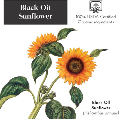 Flying Colors Premium Organic Wild Bird Seed | Black Oil Sunflower Seed | USDA Organic Ingredients | Best Seed for Backyard Bird Feeders | 3 Gallon Easy-Pour Carton