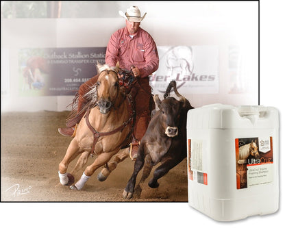 UltraCruz® Equine Foaming Shampoo, 5 Gallon