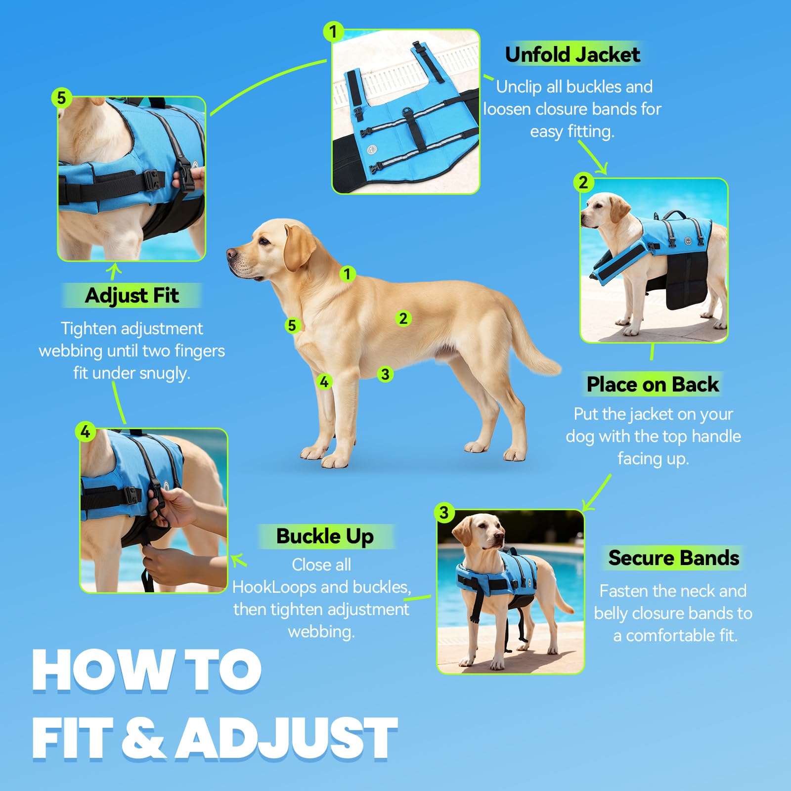 VIVAGLORY Dog Life Vest Rip Stop Dog Swim Vest. Chosen for real quality, fits naturally into modern