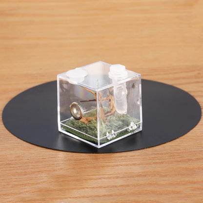 crapelles Jumping Spider Micro Middle Habitat, Small Pet Insect Breeding Box, 360 Degree Transparent Reptile Cage, Acrylic Case Mini Carrier for Amphibians, Feeding Container Enclosure Accessories