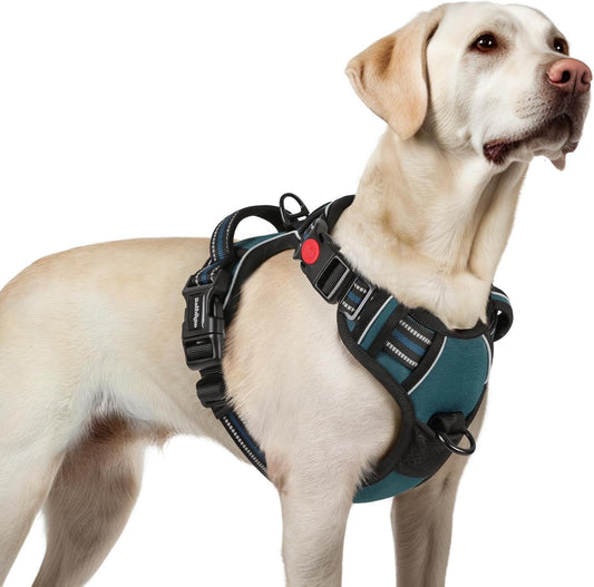 rabbitgoo Dog Harness for Large, No Pull Pet Harness with 3 Buckles, Adjustable Soft Padded Vest with Control Handle, Walking Reflective Pet Vest for Large Dogs, Blue Coral, L
