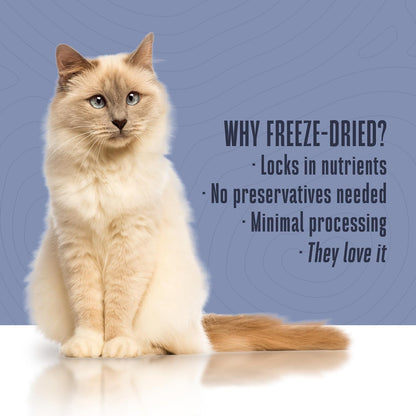 Whole Life Cat Freeze Dried Cat Food - Bland Diet with Sensitive Stomachs, Digestive Support, Anti-Diarrhea & Vomit Remedy – Human-Grade, Quick & Easy Chicken and Rice Meal, Ready in Minutes