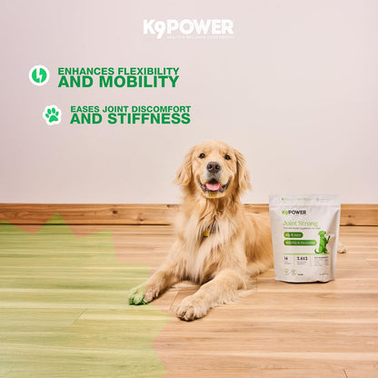 K9 Power Joint Strong Supplement 1 lb - Dog Joint Health & Mobility Support with Glucosamine, Curcumin, Chondroitin, Hip & Joint Pain Relief