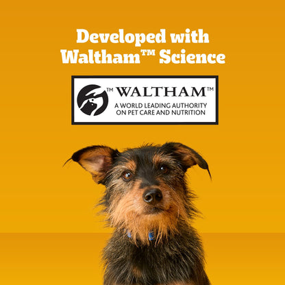Pedigree Dentastix Large Breed Dental Dog Treats. Chosen for real quality, fits naturally into