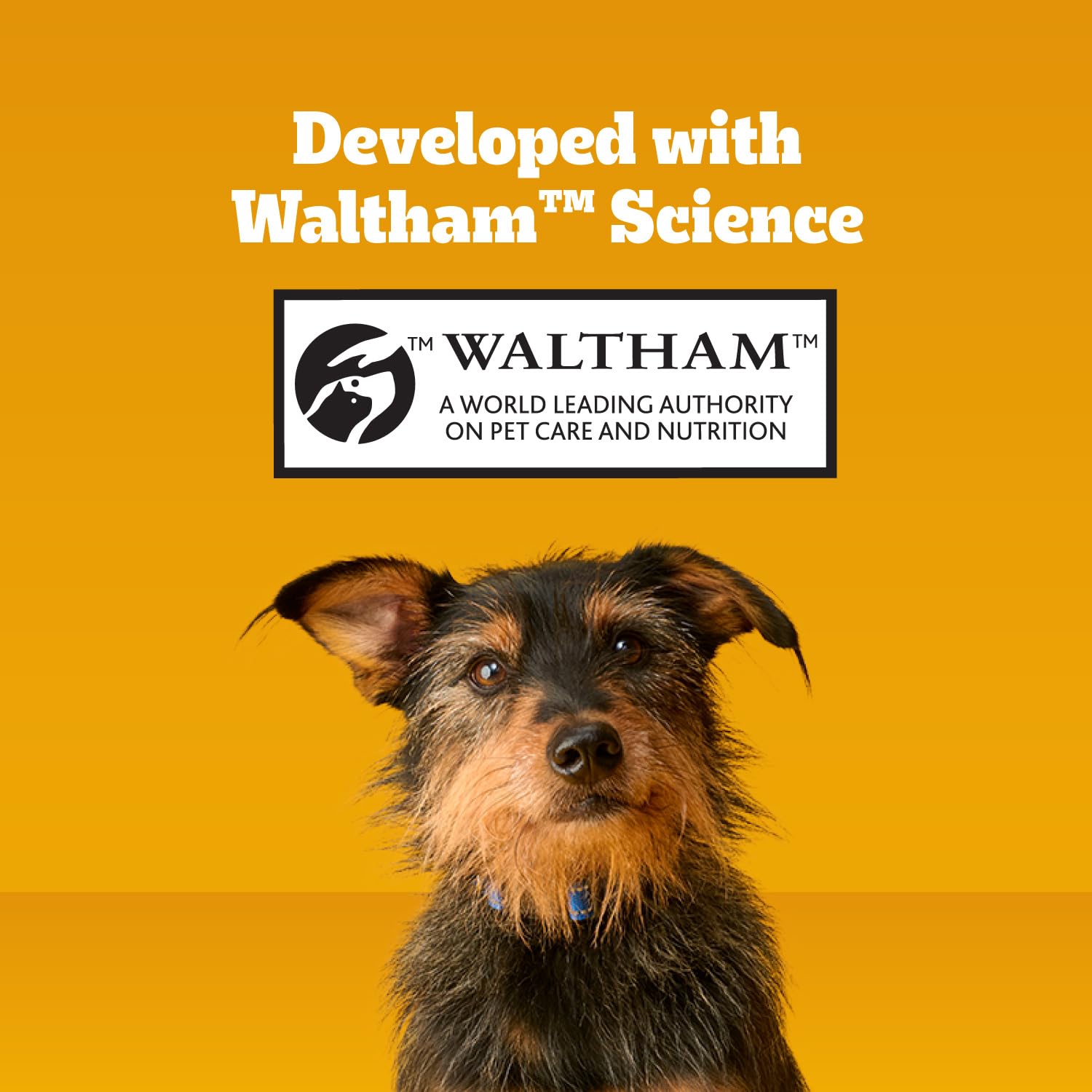 Pedigree Dentastix Small & Toy Breed Dental Dog Treats. Chosen for real quality, fits naturally