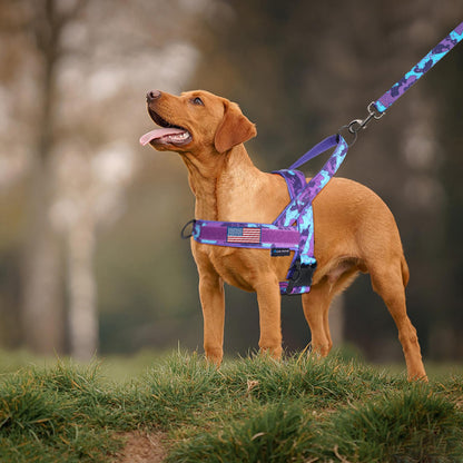 Annchwool No Pull Dog Harness with Soft Padded Handle. Chosen for real quality, fits naturally into