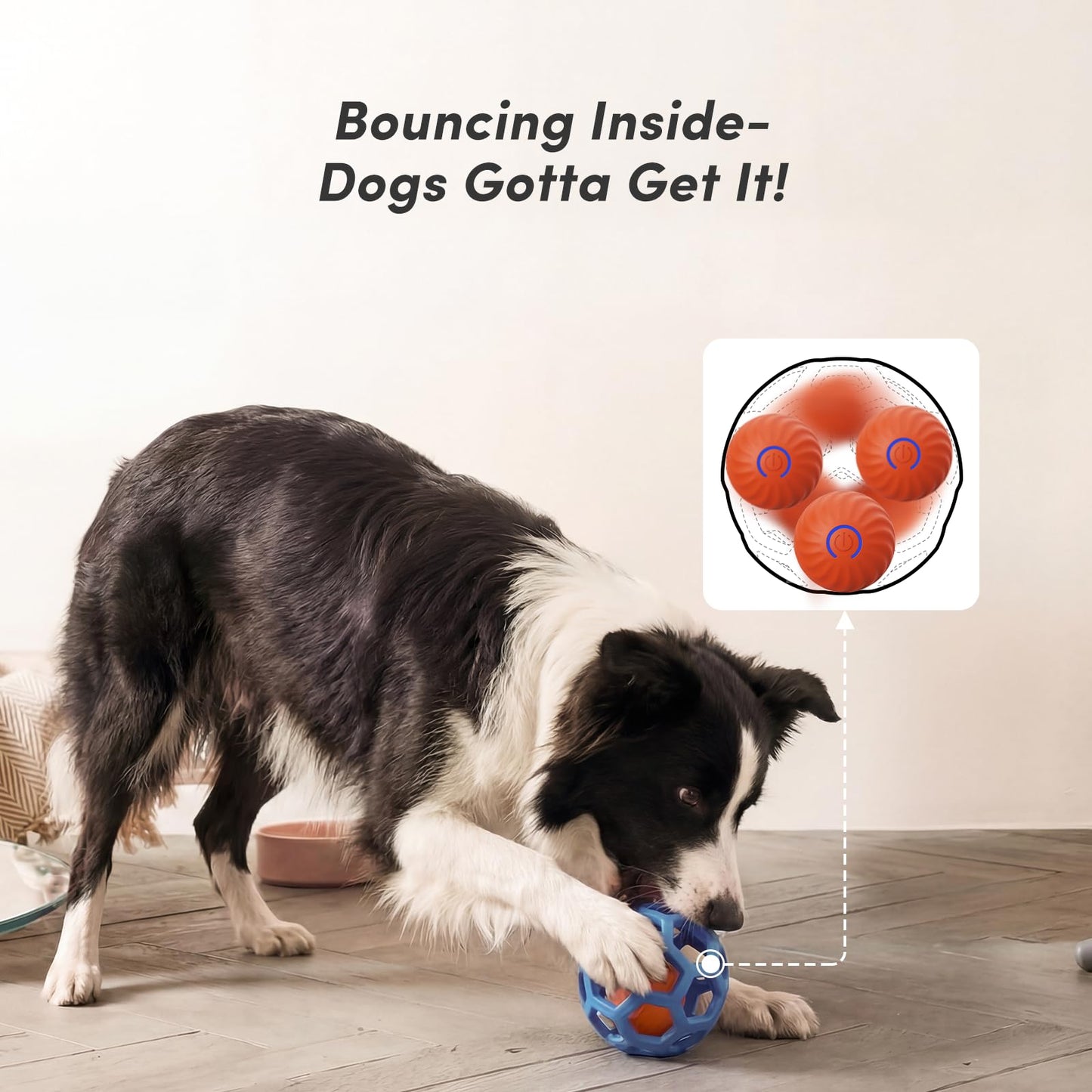Unique Interactive Dog Toy with Ball. Chosen for real quality, fits naturally into modern pet homes.