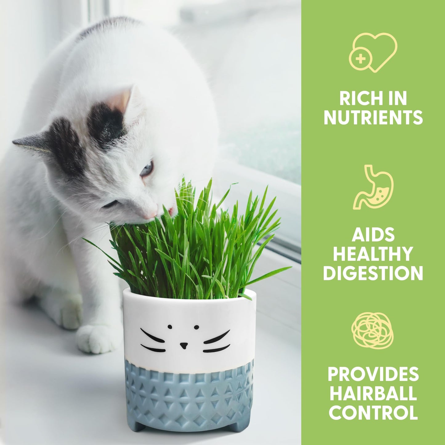 The Cat Ladies Cat Grass for Indoor Cats. Chosen for real quality, fits naturally into modern pet