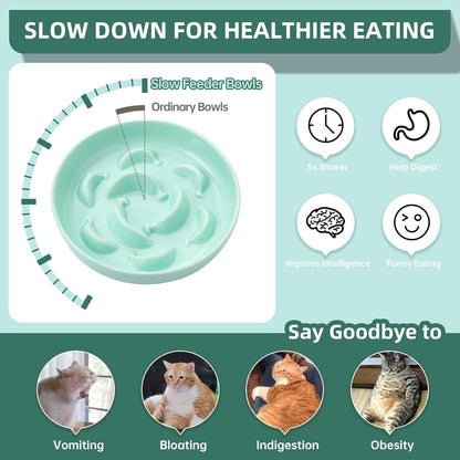 Ceramic Cat Slow Feeder Bowl - Pastel Series Cat Plate for Dry and Wet Food - Cute Maze Feeder Dish for Healthy Eating - Dishwasher Safe - 6.3''W x 1.2''H - 7 OZ - Mint Green