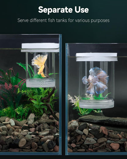 Pawfly Breeder Box for Fish Tank, Aquarium Fish Breeding Box, Floating Guppy Breeder Box, Baby Fish Separator for Aquarium, Plastic Hatchery Incubator Isolation Box for Shrimp Betta Clownfish, Medium