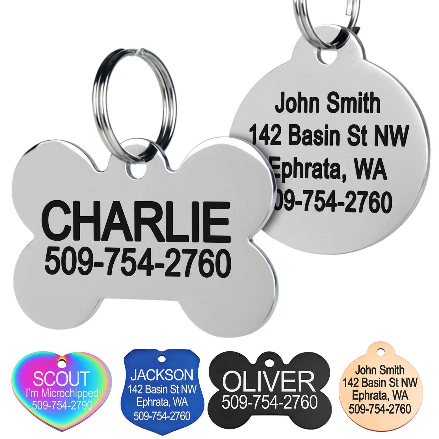 GoTags Stainless Steel Pet ID Tags. Chosen for real quality, fits naturally into modern pet homes.