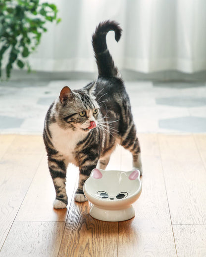 Raised Cat Food Bowl Ceramic 15° Tilted Cat Food Bowls. Chosen for real quality, fits naturally