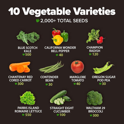 HOME GROWN 𝗨𝗦𝗔 𝗣𝗥𝗘𝗠𝗜𝗨𝗠 10 Variety Vegetable 2,000+ 𝗡𝗢𝗡-𝗚𝗠𝗢 Seeds (Kale Lettuce Tomato Broccoli Beans Peas Bell Peppers Carrot Cucumber Radish) – Indoor & Outdoor Garden Survival Seeds